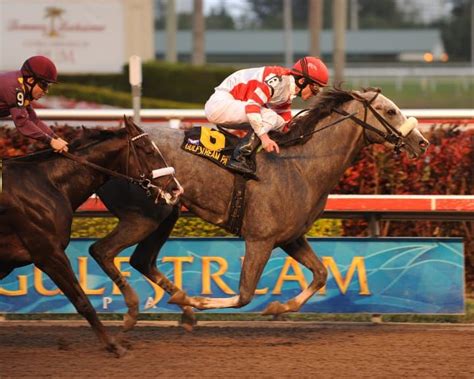 gulfstream race track picks|RAINBOW PICK 6 .
